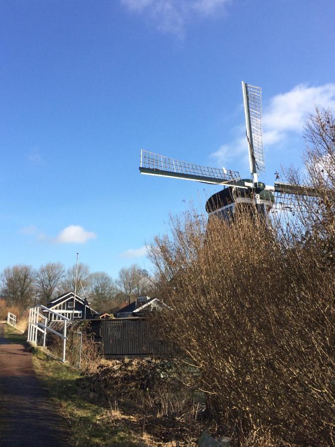 مبيت وإفطار Haarlem 49 المظهر الخارجي الصورة