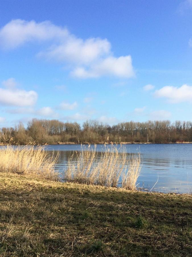 مبيت وإفطار Haarlem 49 المظهر الخارجي الصورة